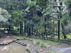 -莫干山风景区