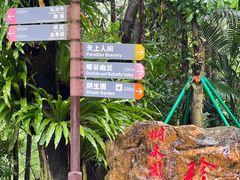 -深圳仙湖植物园