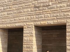 -盘龙城国家考古遗址公园