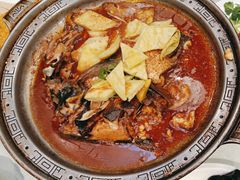 -邵年鸽(杨庄店)