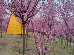 -黄龙溪欢乐田园