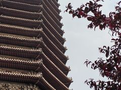 -玲珑塔公园