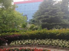 -双季花艺园艺市场(浦东店)