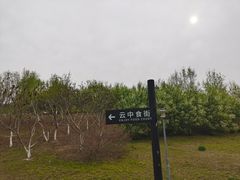 -莫子山公园