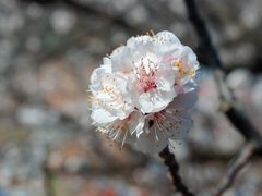 -里口山风景名胜区