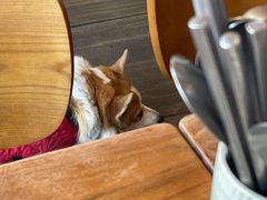 -肥朵食堂(带梦胡同店)