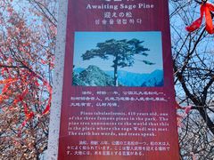 -秦岭终南山世界地质公园翠华山景区