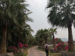 -亚龙湾国际玫瑰谷