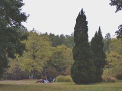 -东湖落雁景区