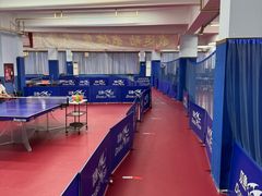 -大凤凰乒乓球馆