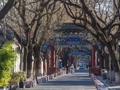 -北京国子监胡同