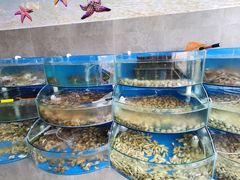 水产区-蓝珊甄选海鲜自助·火锅大排档(近阿那亚店)
