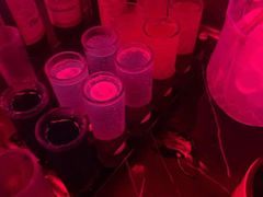 -519 DJ HOUSE(领show店)