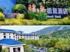 -森波拉奇妙世界