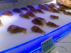 -澜悦港海鲜体验主题餐厅