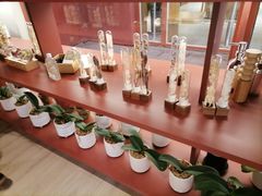 -二酉书店TOYOU BOOKS