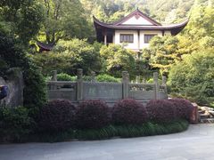 -十八棵（老龙井）御茶园(老龙井店)