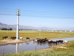 -敕勒川草原文化旅游区
