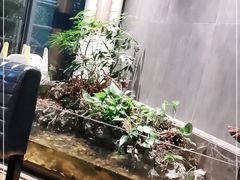 -龙猫意杯花园餐厅(芙蓉湖店)