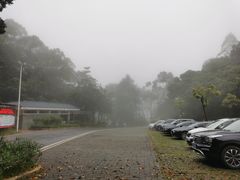 -广州市帽峰山景区