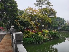 -荔湾湖公园