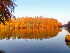 -上海海湾国家森林公园