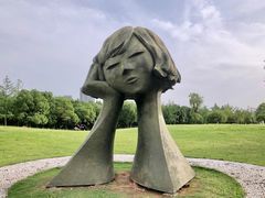 -洋湖国家湿地公园