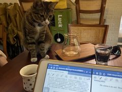 -SAFARI COFFEE