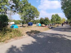 -广富林郊野公园