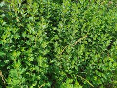 -大泽山风景名胜区