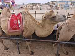 -库伦旗银沙湾旅游景区