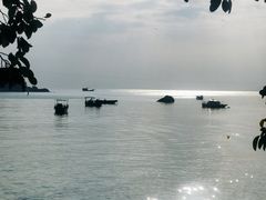 -海角城白海豚浪漫海滩