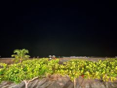 -渔家火锅·海鲜自助餐·演艺(亚龙湾天域酒店)