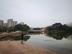 -新江湾城公园