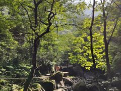 -白云源风景区