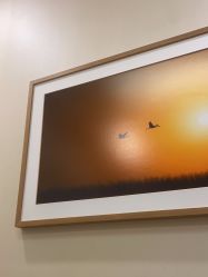 -北京米扬丽格医疗美容·联合丽格鼻整形中心