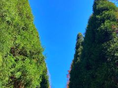 -山王坪喀斯特国家生态公园