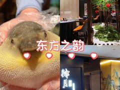 -肆月河豚·淮扬菜·湘菜(华天店)