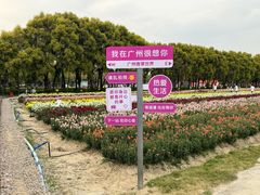 -广东花都香草世界旅游度假区