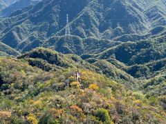 -大岭沟猕猴桃谷风景区
