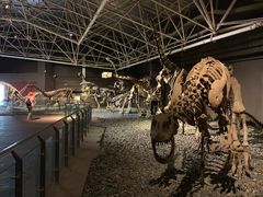 -世界恐龙谷景区