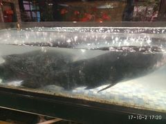 -森谷美食公园(杨行店)