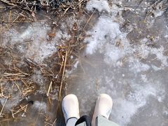 -天津东丽湖风景区