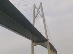 -招商蛇口邮轮母港(观光客运)