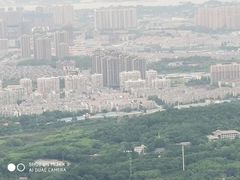 -紫金山山顶公园