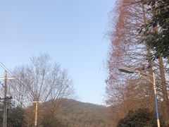 -青城山