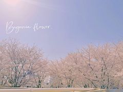 -龙美术馆(西岸馆)