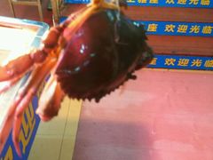 -鑫悦楼煎蟹·16年海鲜大排档