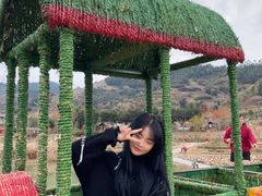 -福建土楼（华安）旅游区•大地土楼群