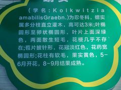 -老君堂公园
